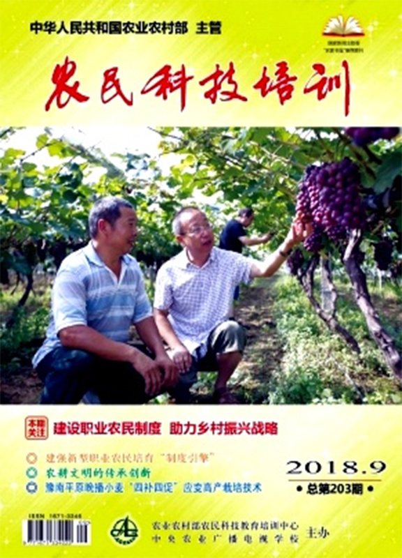 农民科技培训杂志杂志封面