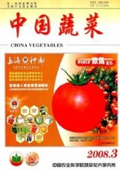 中国蔬菜