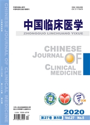 中国临床医学杂志杂志封面